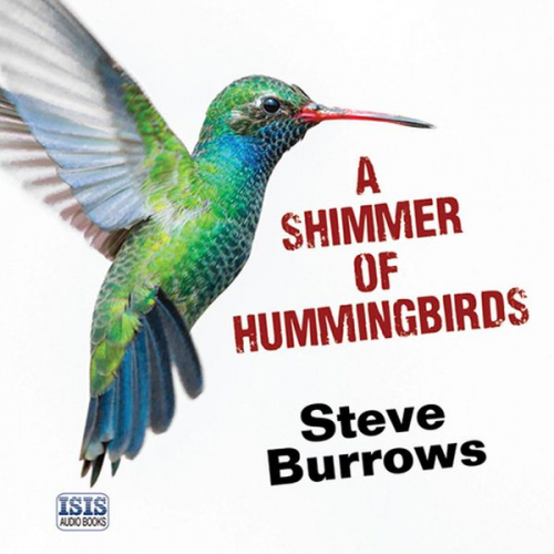 Steve Burrows - Shimmer of Hummingbirds, A