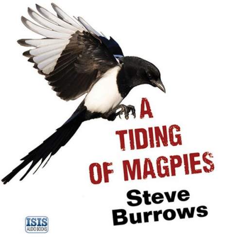 Steve Burrows - Tiding of Magpies, A