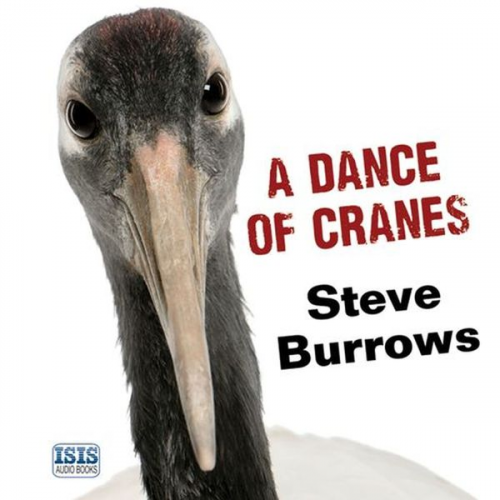 Steve Burrows - Dance of Cranes, A