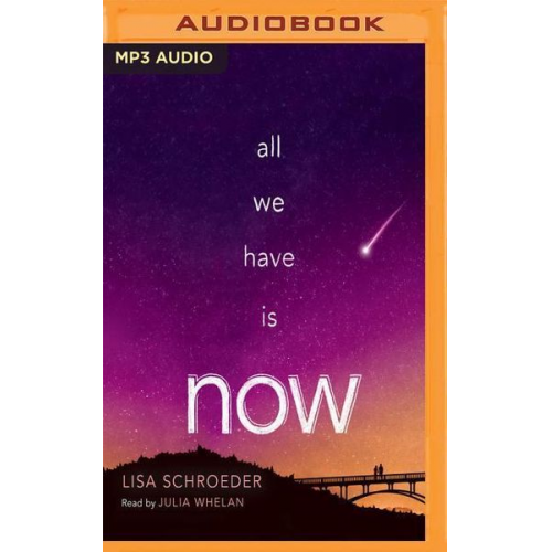 Lisa Schroeder - All We Have Is Now M