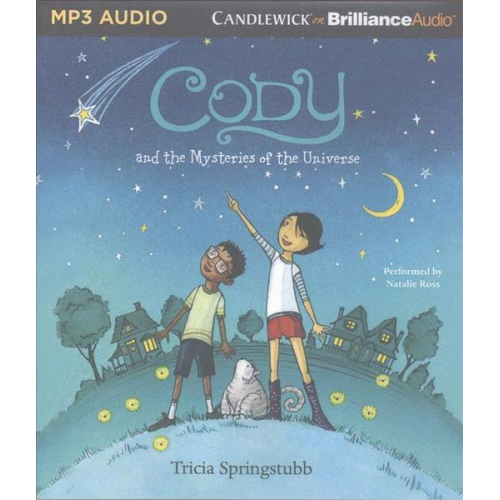 Tricia Springstubb - Cody and the Mysteries of the Universe