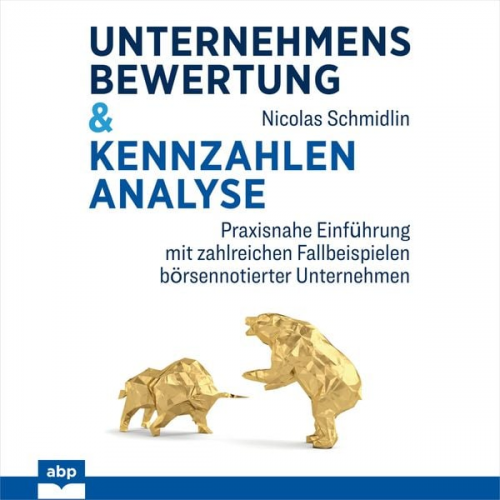 Nicolas Schmidlin - Unternehmensbewertung & Kennzahlenanalyse