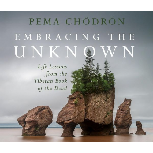 Pema Chödrön - Embracing the Unknown