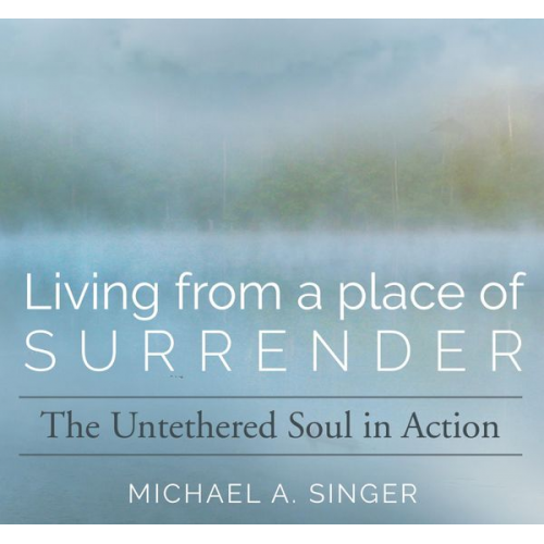 Michael Singer - Living from a Place of Surrender