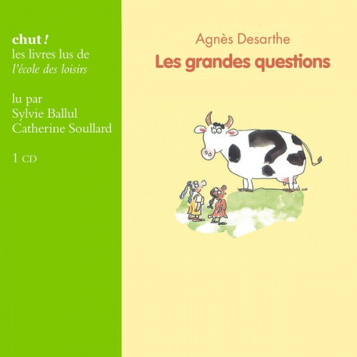 Agnès Desarthe - Les grandes questions