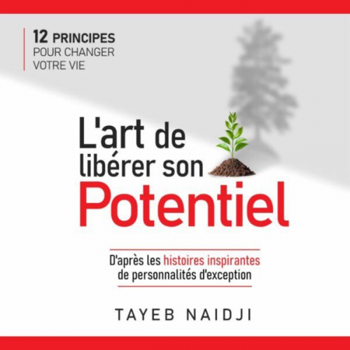 Tayeb Naidji - L'Art de libérer son potentiel