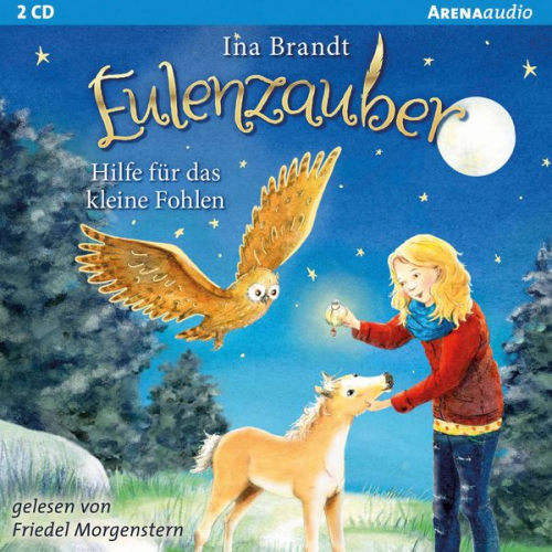 Ina Brandt - Eulenzauber (6). Hilfe für das kleine Fohlen