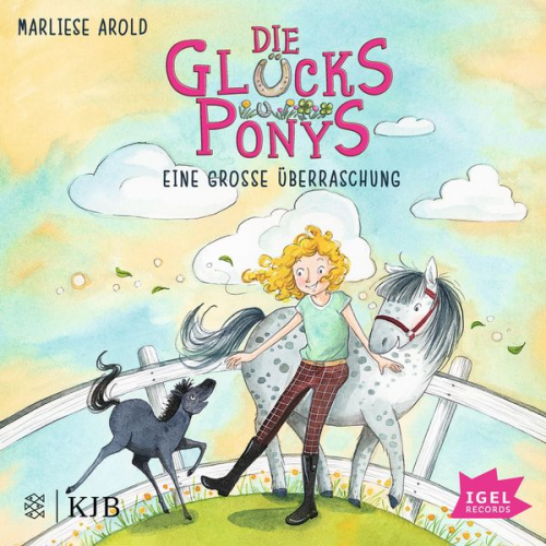 Marliese Arold - Die Glücksponys 2. Eine große Überraschung