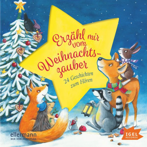 Henriette Wich Maja von Vogel Anne Ameling - Erzähl mir vom Weihnachtszauber