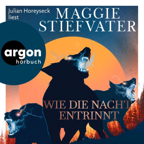 Maggie Stiefvater - Wie die Nacht entrinnt