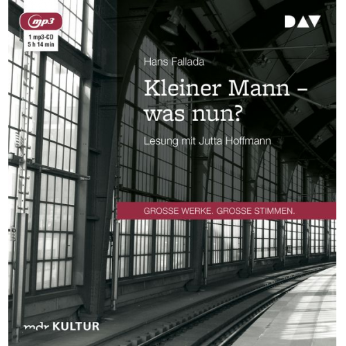 Hans Fallada - Kleiner Mann – was nun?