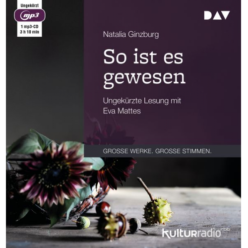 Natalia Ginzburg - So ist es gewesen