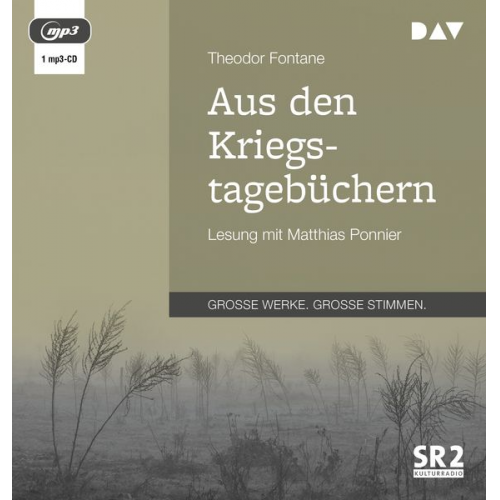 Theodor Fontane - Aus den Kriegstagebüchern