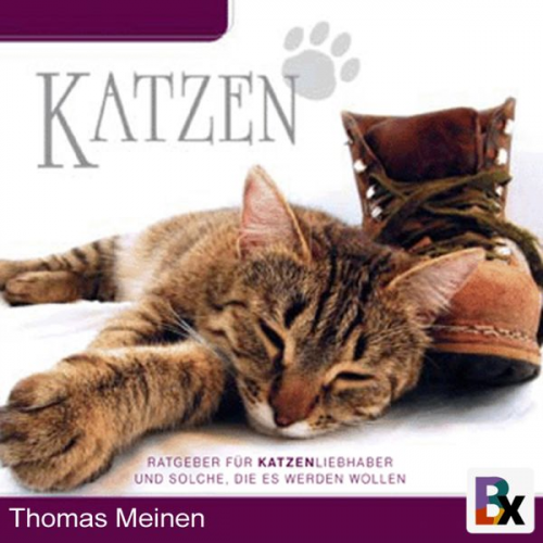 Thomas Meinen - Wissenswertes für Katzenliebhaber/innen und solche, die es werden wollen