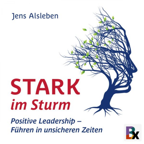 Jens Alsleben - Stark im Sturm