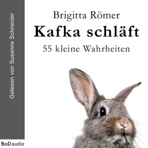 Brigitta Römer - Kafka schläft