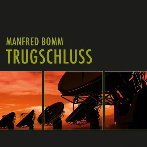 Manfred Bomm - Trugschluss (Ungekürzt)