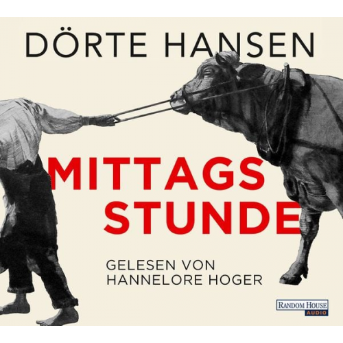 Dörte Hansen - Mittagsstunde