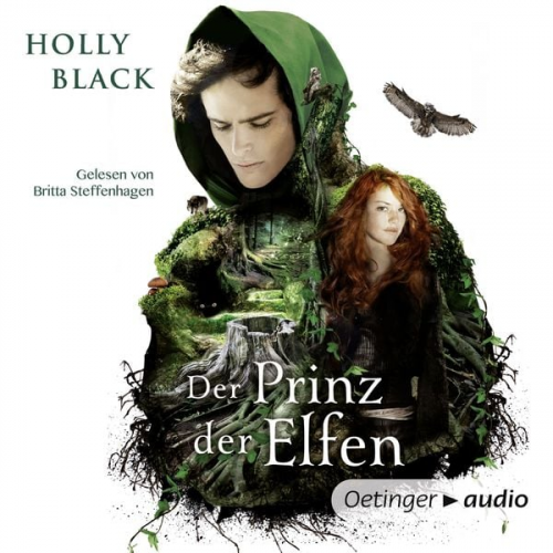 Holly Black - Der Prinz der Elfen