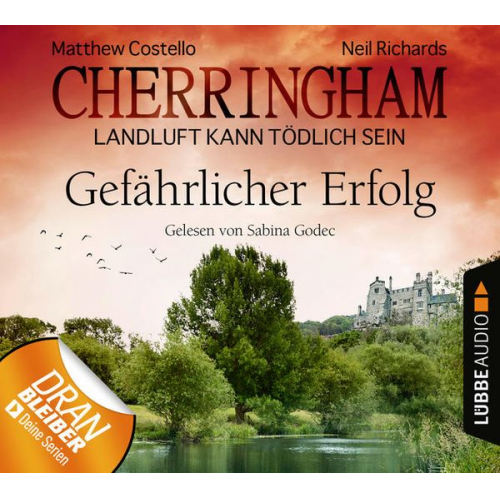 Matthew Costello Neil Richards - Gefährlicher Erfolg