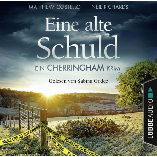 Matthew Costello Neil Richards - Eine alte Schuld