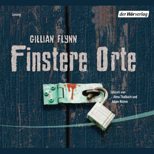 Gillian Flynn - Finstere Orte