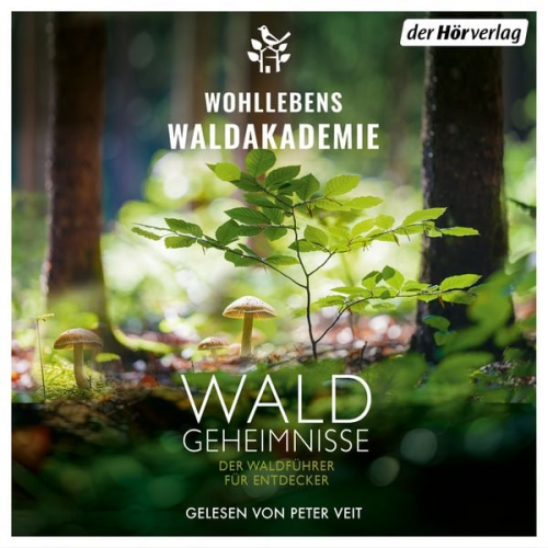 Wohllebens Waldakademie - Waldgeheimnisse