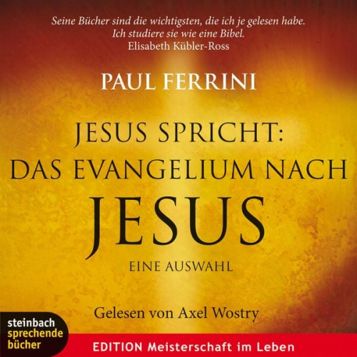 Paul Ferrini - Jesus spricht: Das Evangelium nach Jesus. Ein neues Testament für unsere Zeit (Gekürzt)