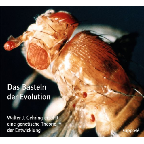 Walter Gehring Klaus Sander - Das Basteln der Evolution