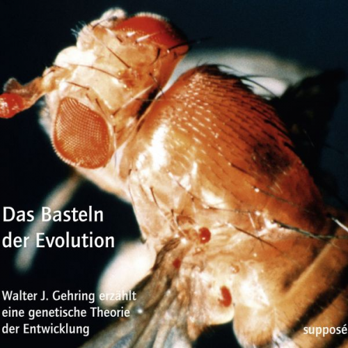 Walter J. Gehring Klaus Sander - Das Basteln der Evolution