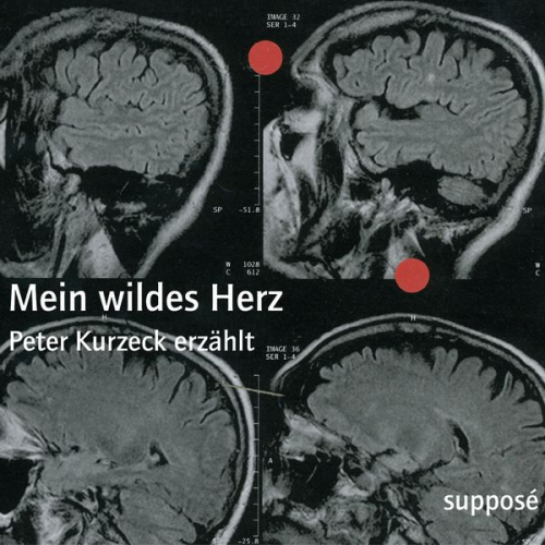 Peter Kurzeck Klaus Sander - Mein wildes Herz