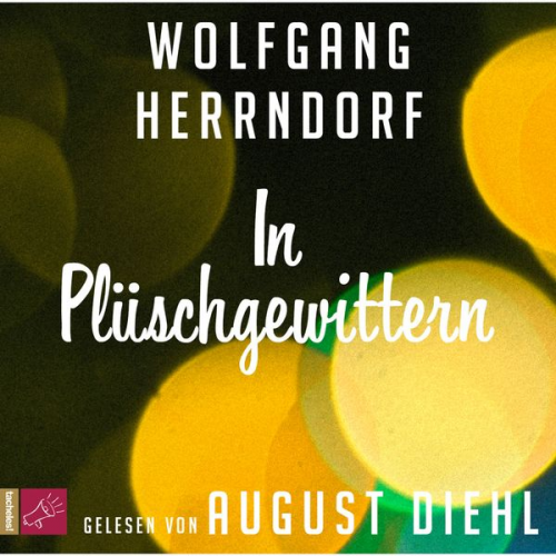 Wolfgang Herrndorf - In Plüschgewittern