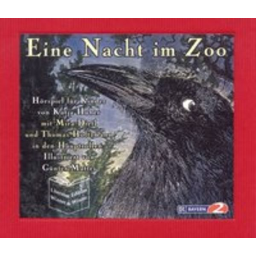 Katja Huber - Eine Nacht im Zoo