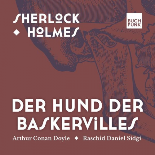 Arthur Conan Doyle - Der Hund der Baskervilles