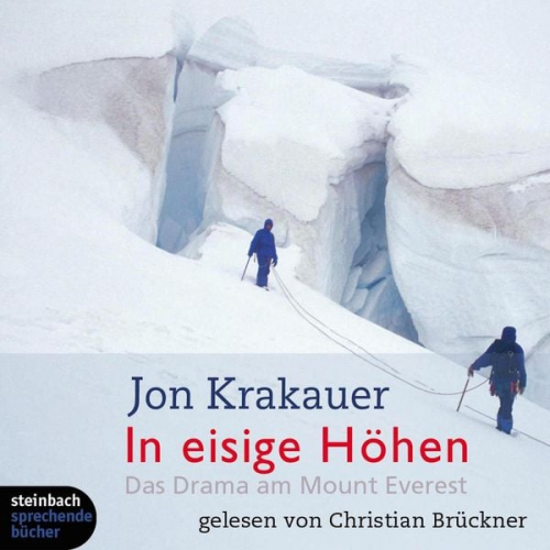 Jon Krakauer - In eisige Höhen - Das Drama am Mount Everest (Ungekürzt)