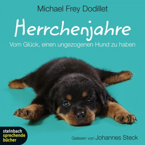 Michael Frey Dodillet - Herrchenjahre - Vom Glück, einen ungezogenen Hund zu haben (Gekürzt)