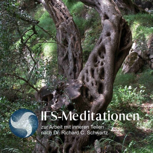 Richard C. Schwartz Susan McConnell - IFS-Meditationen zur Arbeit mit inneren Teilen nach Dr. Richard C. Schwartz