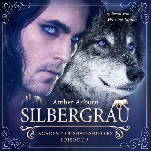 Amber Auburn - Silbergrau, Episode 9 - Fantasy-Serie