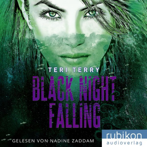 Teri Terry - Black Night Falling