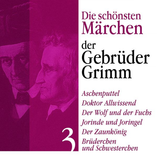 Gebrüder Grimm - Aschenputtel: Die schönsten Märchen der Gebrüder Grimm 3