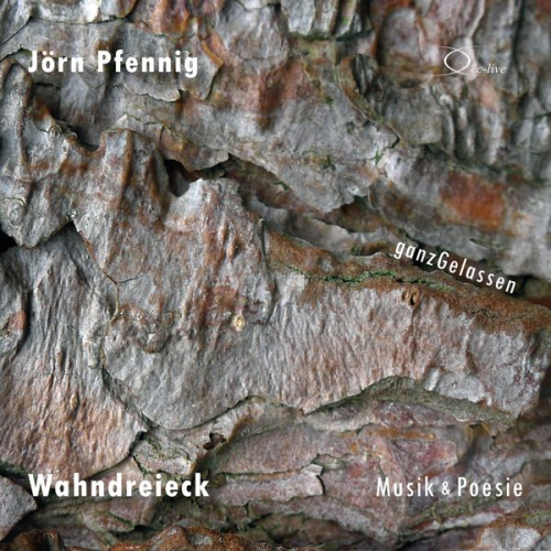 Jörn Pfennig - Wahndreieck - Musik & Poesie