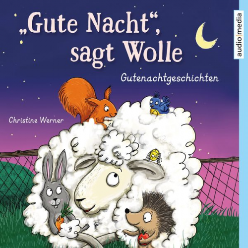 Christine Werner - "Gute Nacht", sagt Wolle