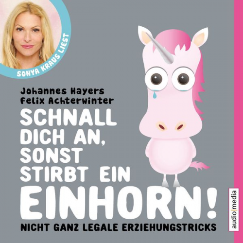 Johannes Hayers Felix Achterwinter - Schnall dich an, sonst stirbt ein Einhorn