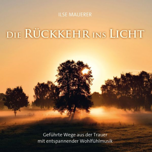 Ilse Mauerer - Die Rückkehr ins Licht