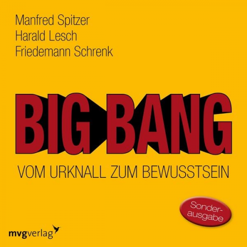 Manfred Spitzer Harald Lesch Friedemann Schrenk - Big Bang: Vom Urknall zum Bewusstsein