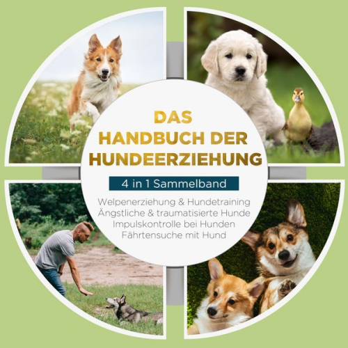 Alexander Gietzen - Das Handbuch der Hundeerziehung - 4 in 1 Sammelband: Impulskontrolle bei Hunden | Welpenerziehung & Hundetraining | Ängstliche & traumatisierte Hunde