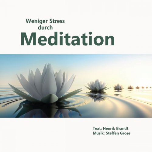 Henrik Brandt - Weniger Stress durch Meditation