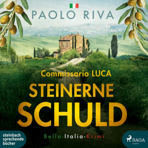 Paolo Riva - Steinerne Schuld