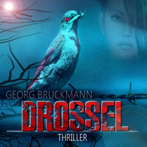 Georg Bruckmann - DROSSEL