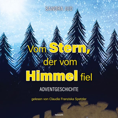 Sandra Jud - Vom Stern, der vom Himmel fiel - Hörbuch